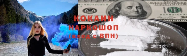 трава Арсеньев