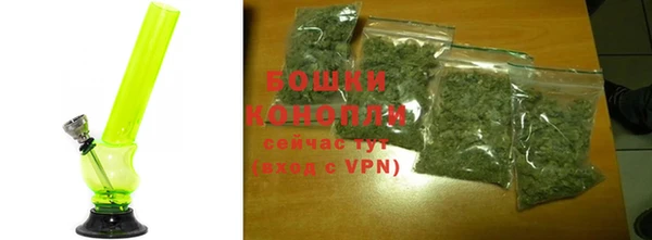 трава Арсеньев