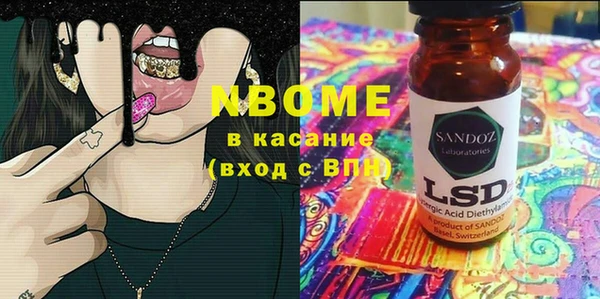 индика Сатка