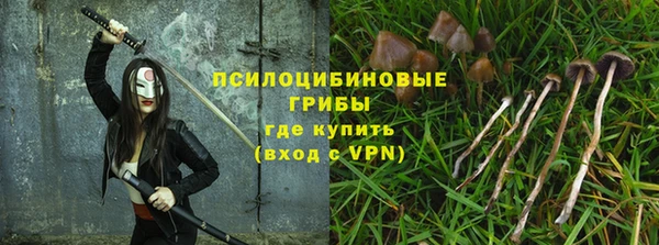 трава Арсеньев
