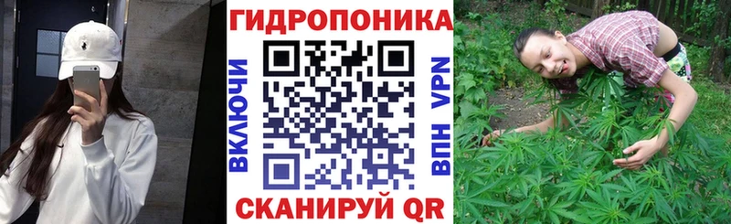 Марихуана конопля  дарк нет наркотические препараты  Чаплыгин  хочу  